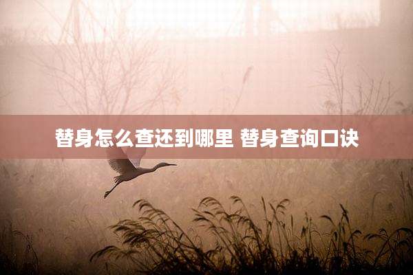 替身怎么查还到哪里 替身查询口诀