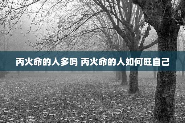 丙火命的人多吗 丙火命的人如何旺自己