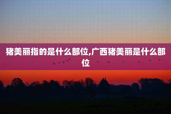 猪美丽指的是什么部位,广西猪美丽是什么部位