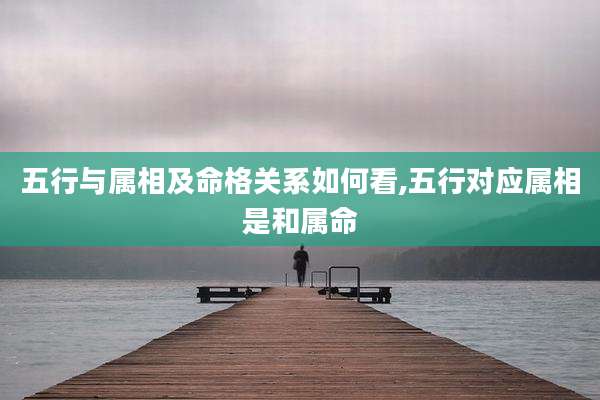 五行与属相及命格关系如何看,五行对应属相是和属命
