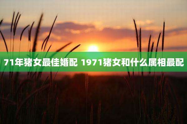 71年猪女最佳婚配 1971猪女和什么属相最配