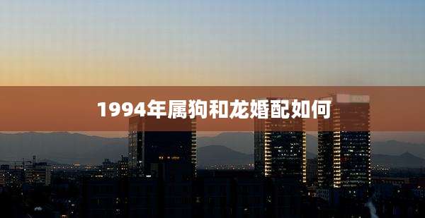 1994年属狗和龙婚配如何