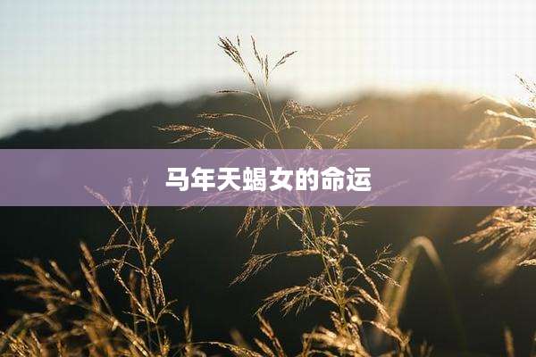 马年天蝎女的命运