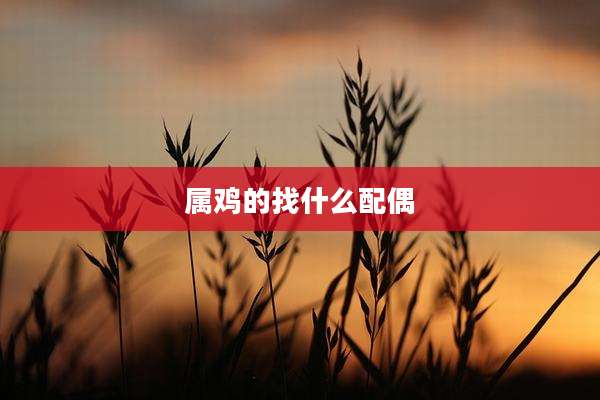 属鸡的找什么配偶