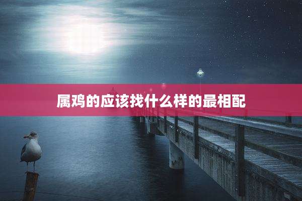 属鸡的应该找什么样的最相配