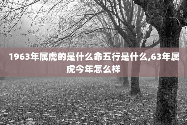 1963年属虎的是什么命五行是什么,63年属虎今年怎么样