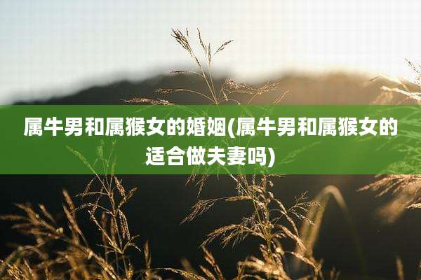 属牛男和属猴女的婚姻(属牛男和属猴女的适合做夫妻吗)