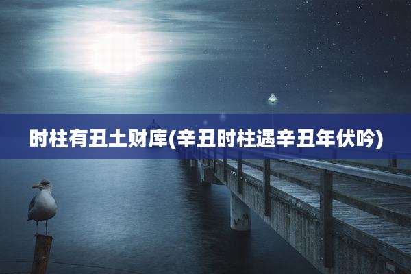 时柱有丑土财库(辛丑时柱遇辛丑年伏吟)