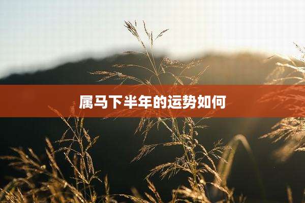 属马下半年的运势如何