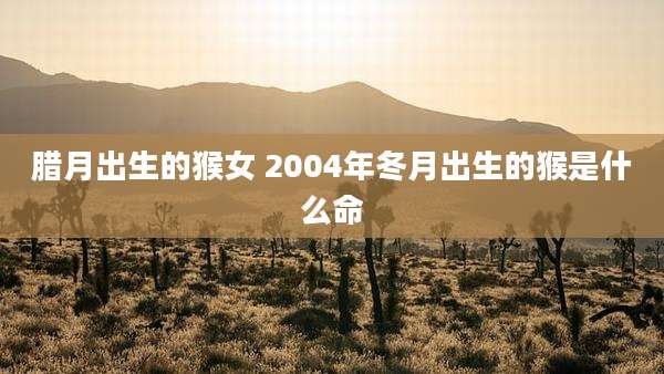 腊月出生的猴女 2004年冬月出生的猴是什么命