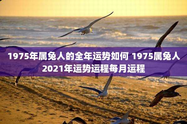 1975年属兔人的全年运势如何 1975属兔人2021年运势运程每月运程