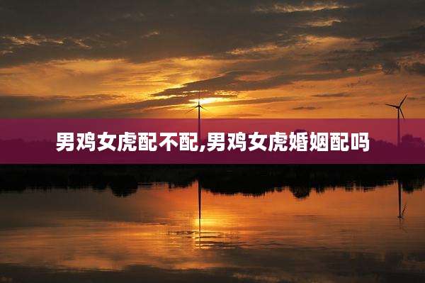 男鸡女虎配不配,男鸡女虎婚姻配吗