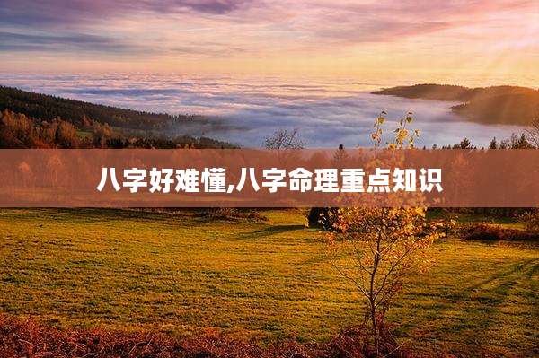 八字好难懂,八字命理重点知识