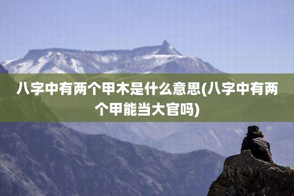 八字中有两个甲木是什么意思(八字中有两个甲能当大官吗)