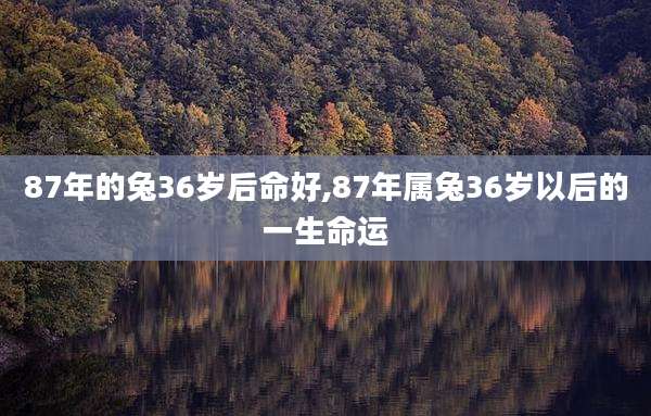 87年的兔36岁后命好,87年属兔36岁以后的一生命运