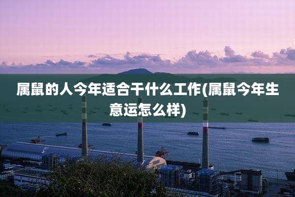 属鼠的人今年适合干什么工作(属鼠今年生意运怎么样)