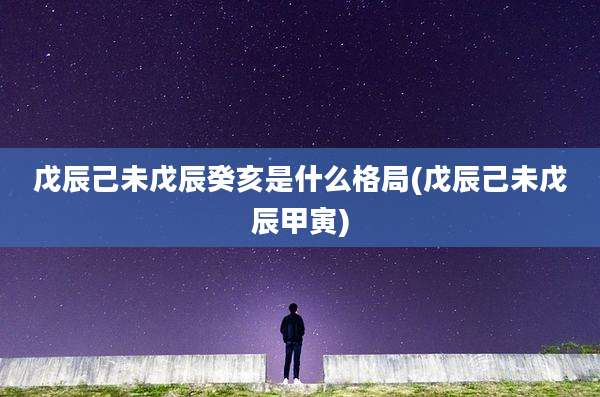 戊辰己未戊辰癸亥是什么格局(戊辰己未戊辰甲寅)