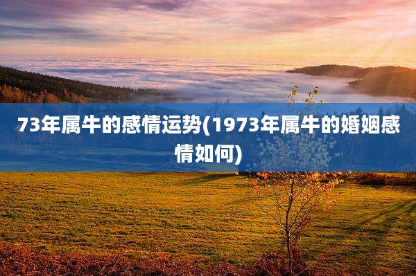 73年属牛的感情运势(1973年属牛的婚姻感情如何)