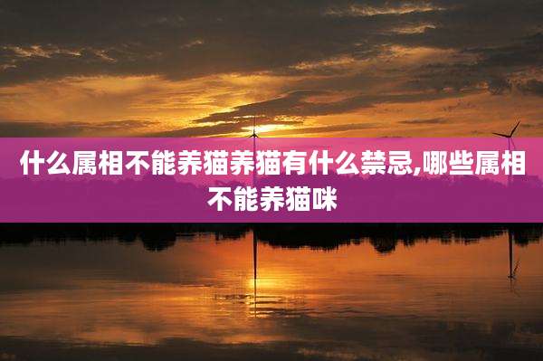 什么属相不能养猫养猫有什么禁忌,哪些属相不能养猫咪