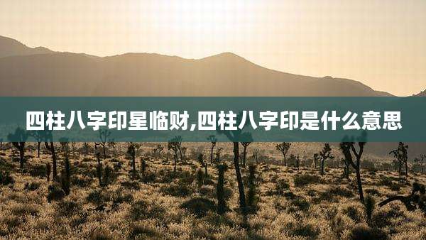 四柱八字印星临财,四柱八字印是什么意思