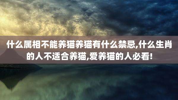 什么属相不能养猫养猫有什么禁忌,什么生肖的人不适合养猫,爱养猫的人必看!