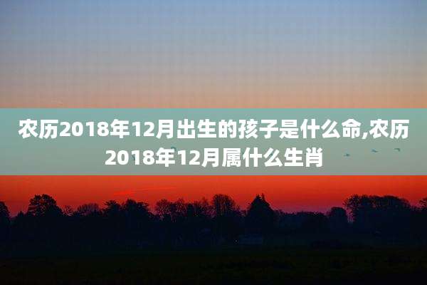 农历2018年12月出生的孩子是什么命,农历2018年12月属什么生肖