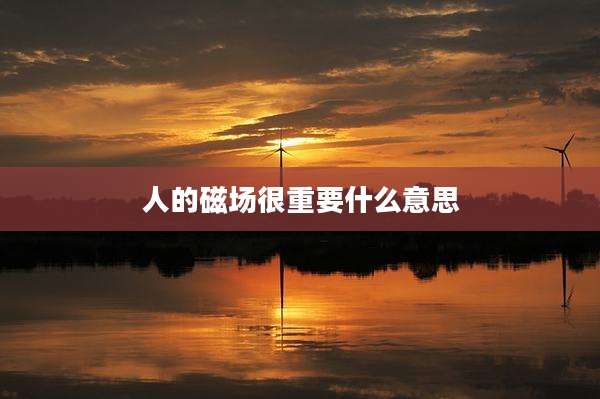 人的磁场很重要什么意思