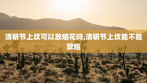 清明节上坟可以放烟花吗,清明节上坟能不能放炮