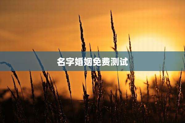 名字婚姻免费测试
