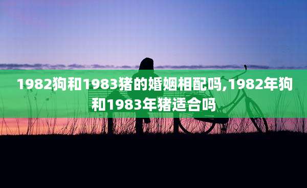 1982狗和1983猪的婚姻相配吗,1982年狗和1983年猪适合吗