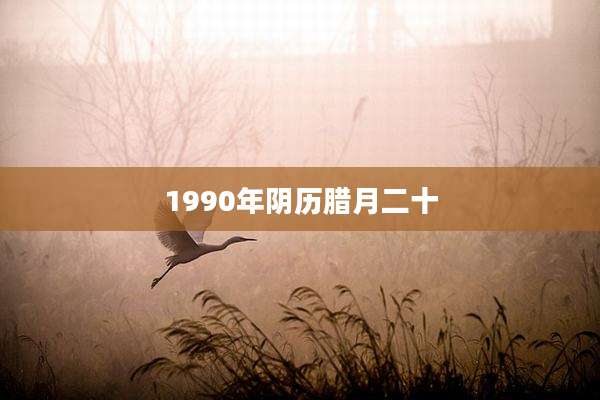 1990年阴历腊月二十