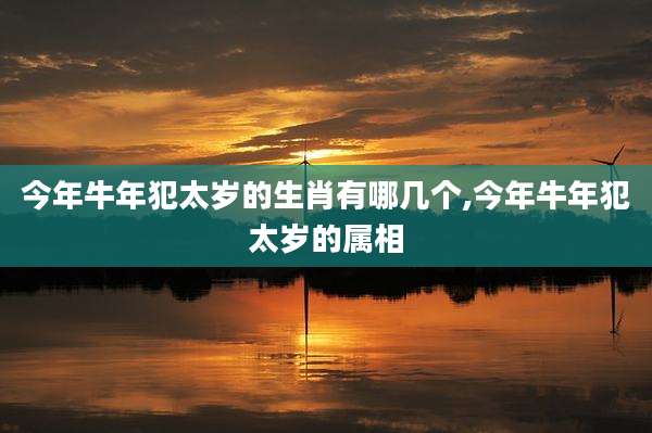 今年牛年犯太岁的生肖有哪几个,今年牛年犯太岁的属相