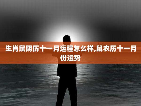 生肖鼠阴历十一月运程怎么样,鼠农历十一月份运势