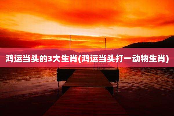 鸿运当头的3大生肖(鸿运当头打一动物生肖)