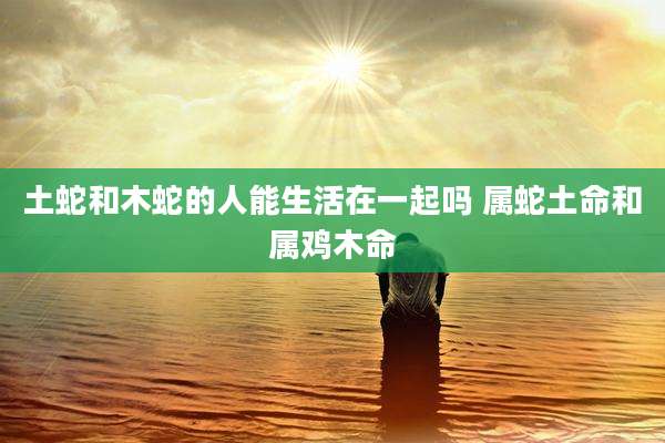 土蛇和木蛇的人能生活在一起吗 属蛇土命和属鸡木命