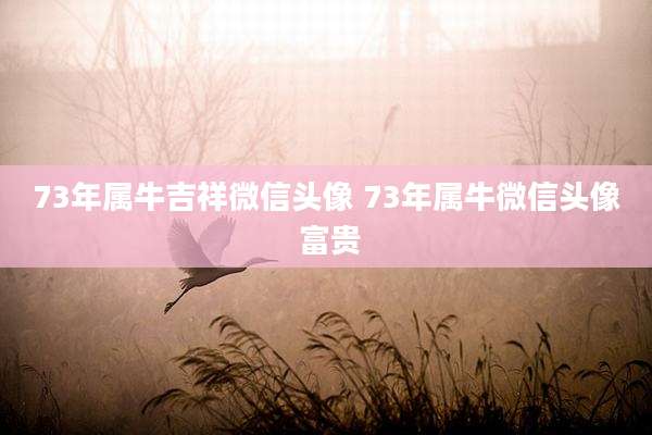 73年属牛吉祥微信头像 73年属牛微信头像 富贵