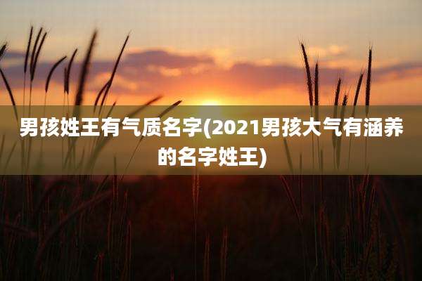 男孩姓王有气质名字(2021男孩大气有涵养的名字姓王)