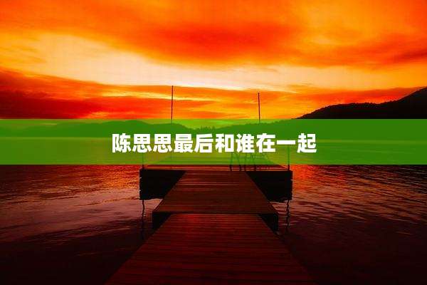 陈思思最后和谁在一起
