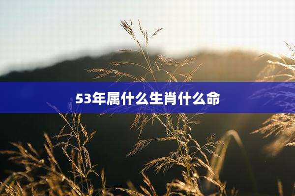53年属什么生肖什么命