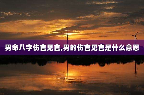 男命八字伤官见官,男的伤官见官是什么意思
