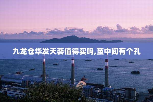 九龙仓华发天荟值得买吗,茧中间有个孔