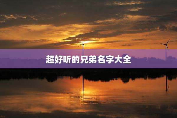 超好听的兄弟名字大全