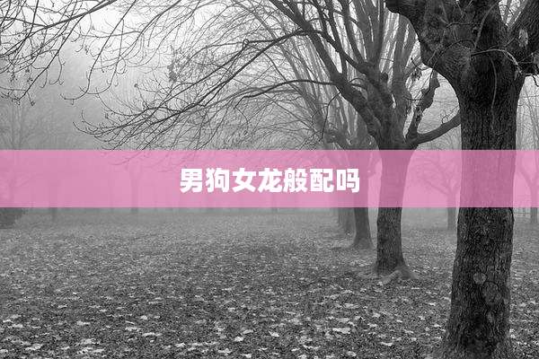 男狗女龙般配吗
