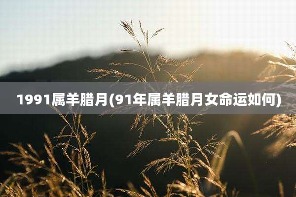 1991属羊腊月(91年属羊腊月女命运如何)