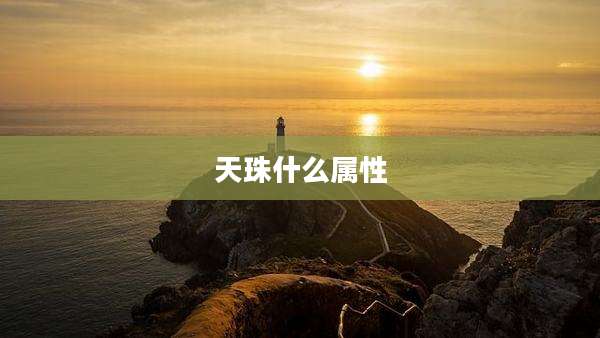 天珠什么属性