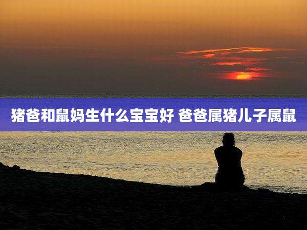 猪爸和鼠妈生什么宝宝好 爸爸属猪儿子属鼠