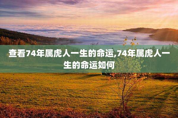 查看74年属虎人一生的命运,74年属虎人一生的命运如何