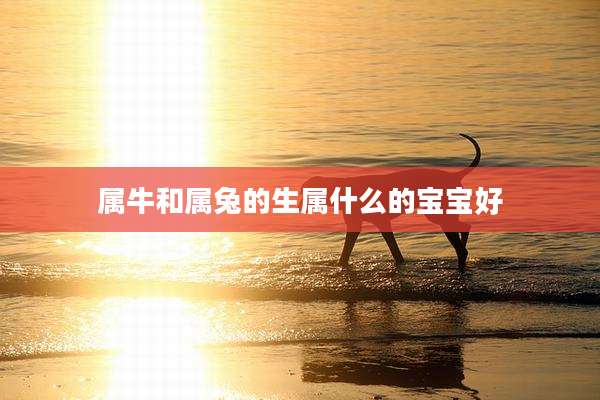 属牛和属兔的生属什么的宝宝好