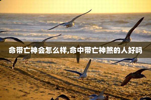 命带亡神会怎么样,命中带亡神煞的人好吗