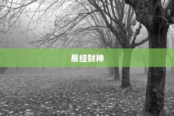 易经财神